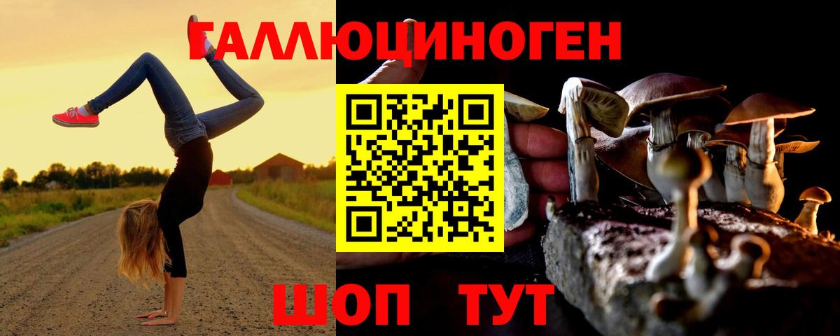 Псилоцибиновые грибы MAGIC MUSHROOMS Одинцово